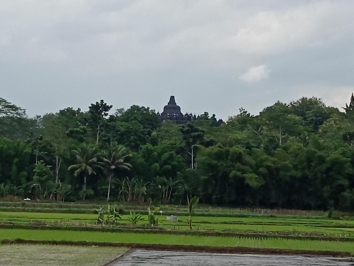 Penginapan & Guest House Mbok Dhe Borobudur Magelang Kültér fotó
